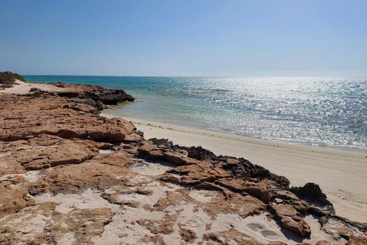 Beach near North Kurrajong Campground