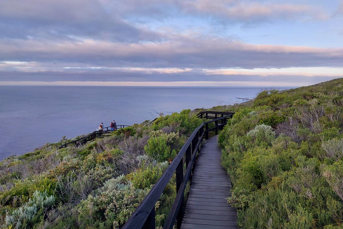 Whale Lookout Walk Trail at Cape Naturaliste Whale Lookout Walk Trail at Cape Naturaliste