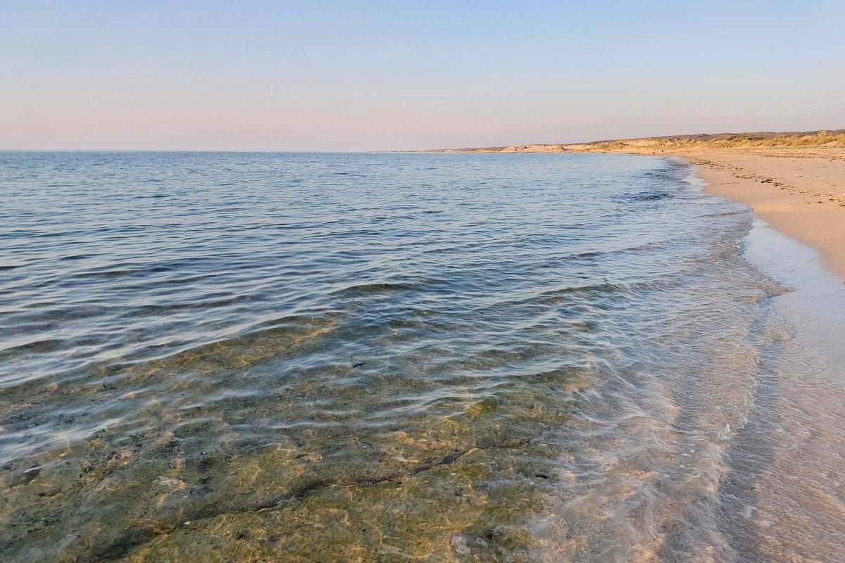 The beach next to Yardie Creek Campground The beach next to Yardie Creek Campground