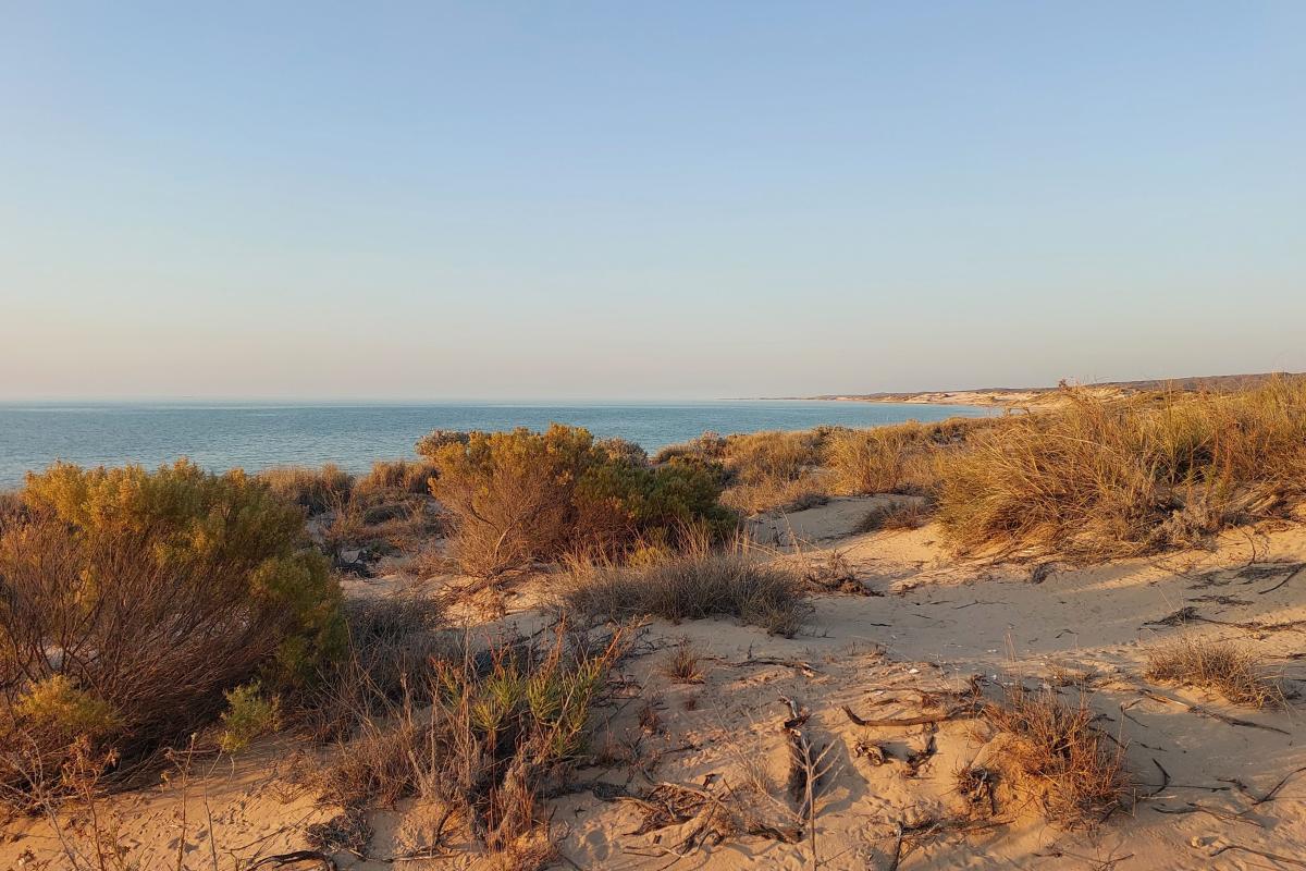 Yardie Creek Campground