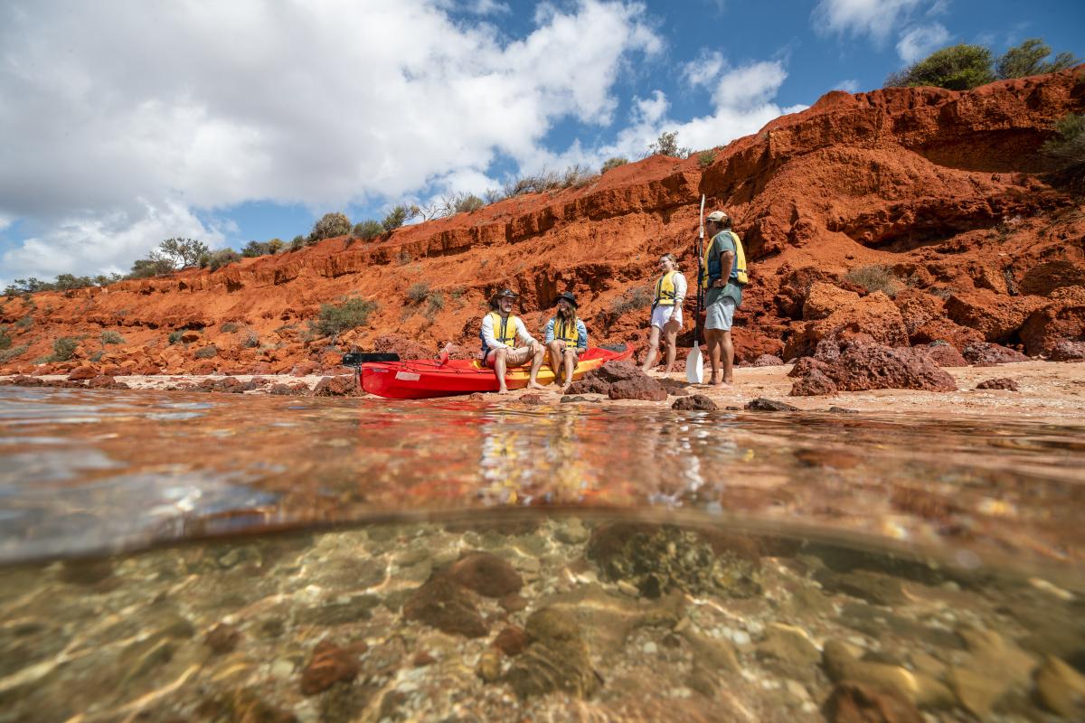 SUP in the Shark Bay World Heritage Area People riding stand up paddle boards