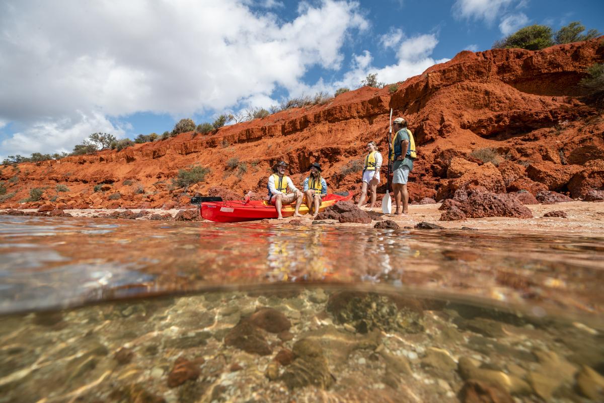 People riding stand up paddle boards