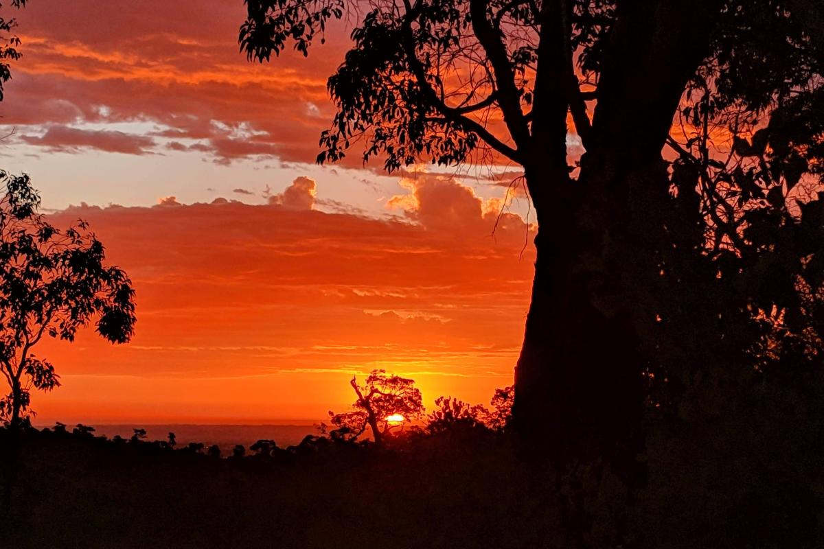 Sunset viewed from Lewis Road Walk Trail in Mundy Regional Park