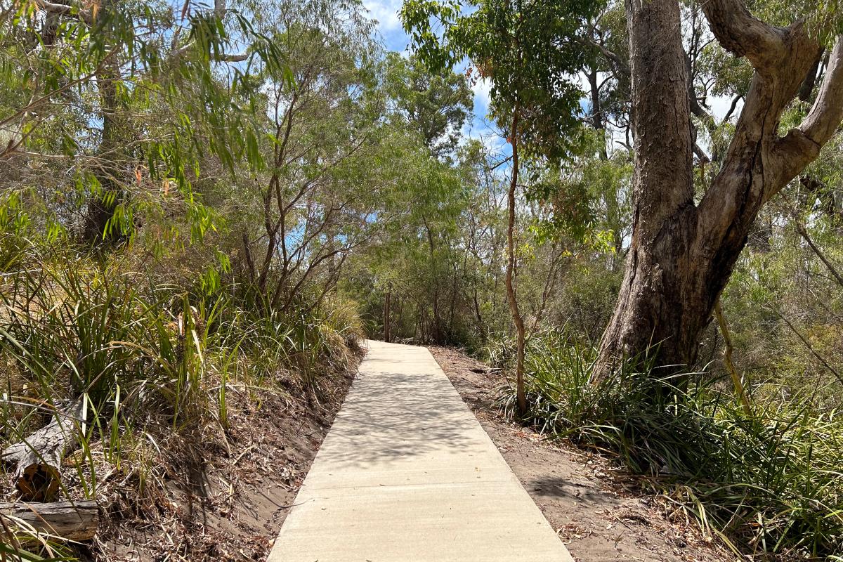 Path on the way to the lookouts