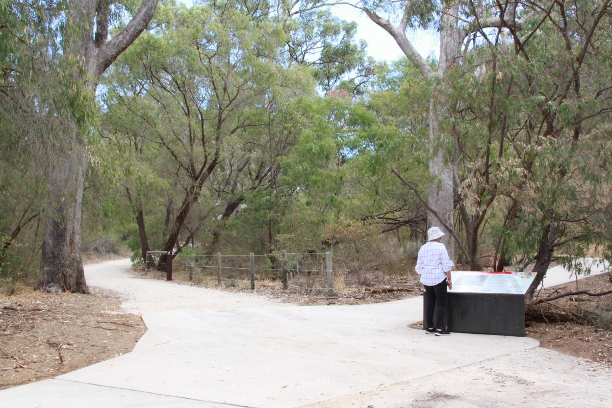Maidens Reserve Person reading information sign