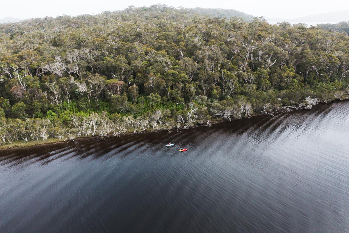 Kayaking at Rest Point Aerial view of two people kayaking in water near a forest of trees.