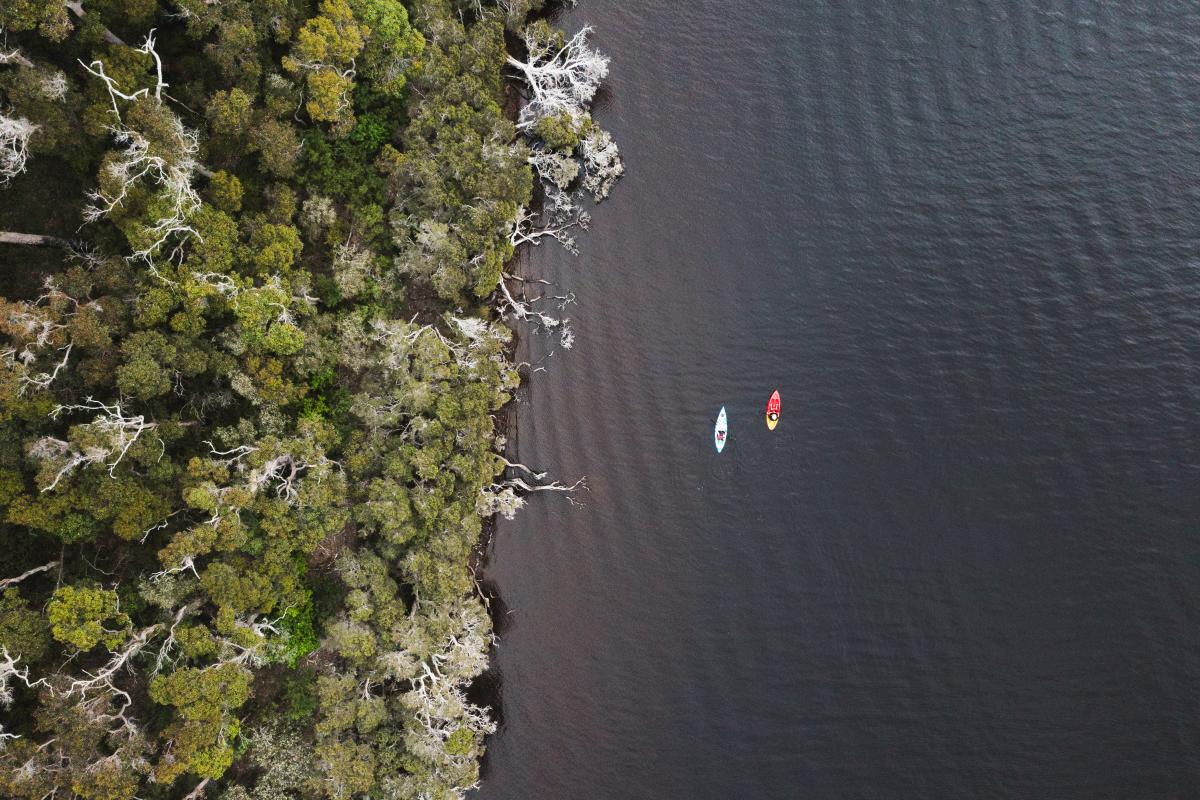 Kayaking at Rest Point Aerial view of two kayakers on water.