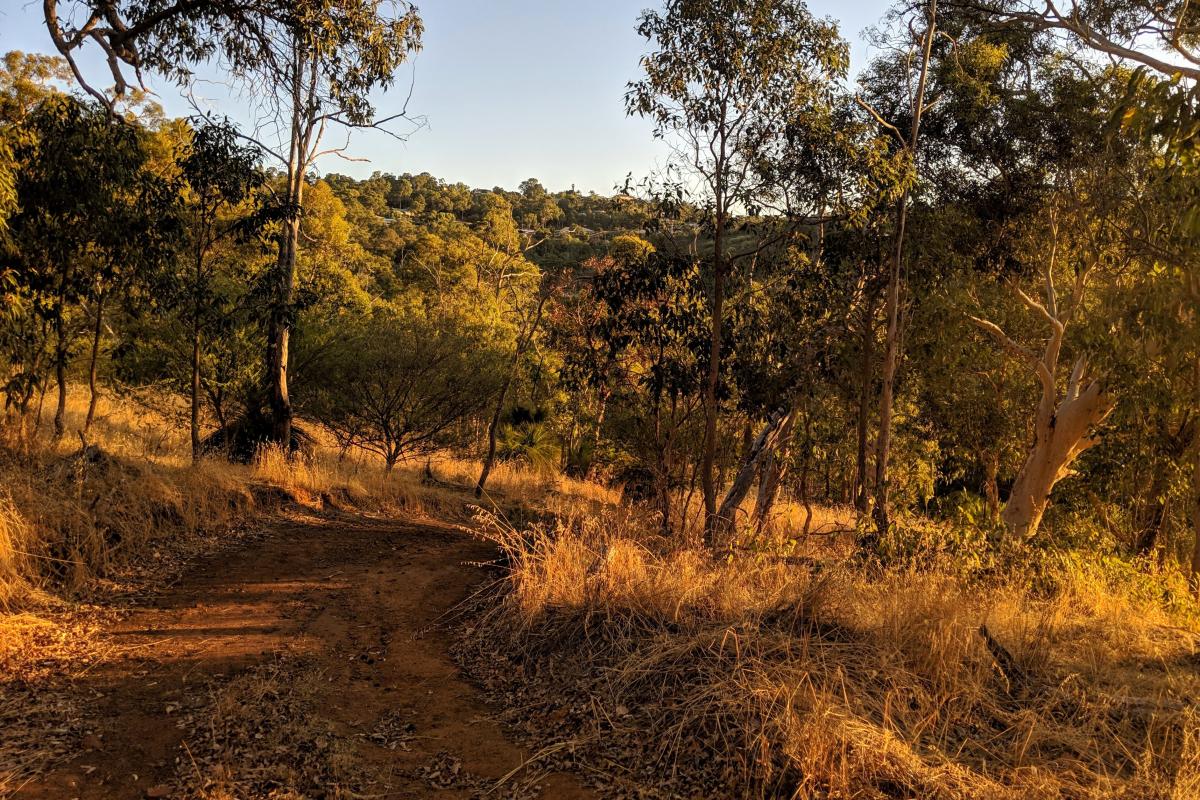 West Terrace Walk, Mundy Regional Park