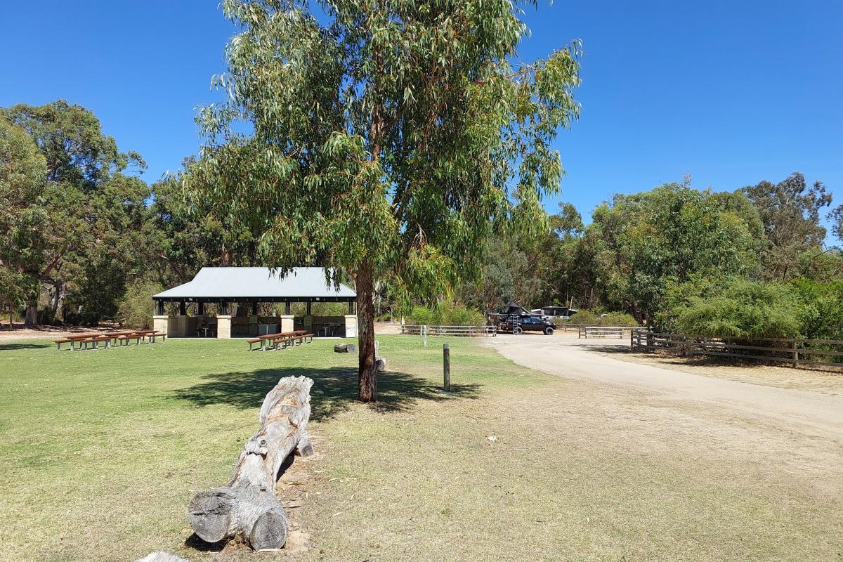 Henry White Oval Campground