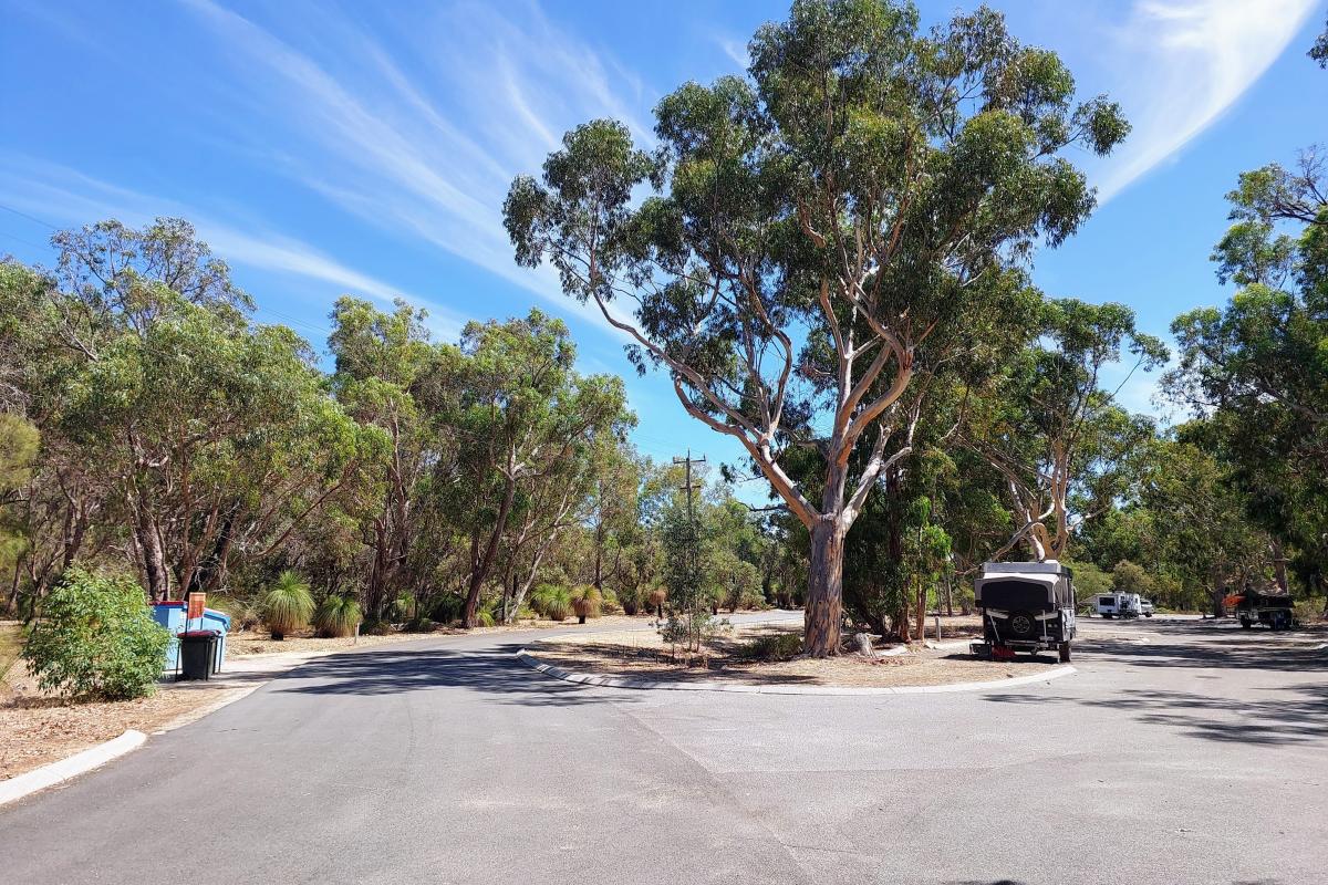 Parking area for caravans at Henry White Oval Campground