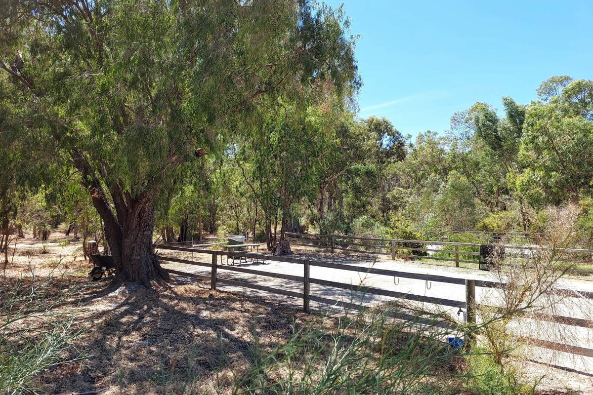 One of the individual campsites at Henry White Oval Campground