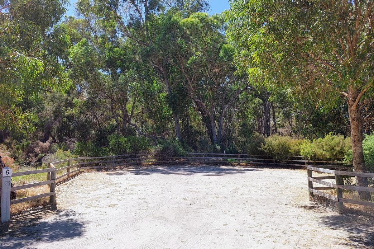 Campsite number 5 at Henry White Oval Campground