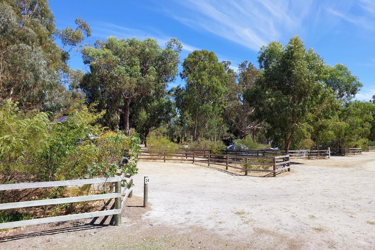 Campsites at Henry White Oval Campground