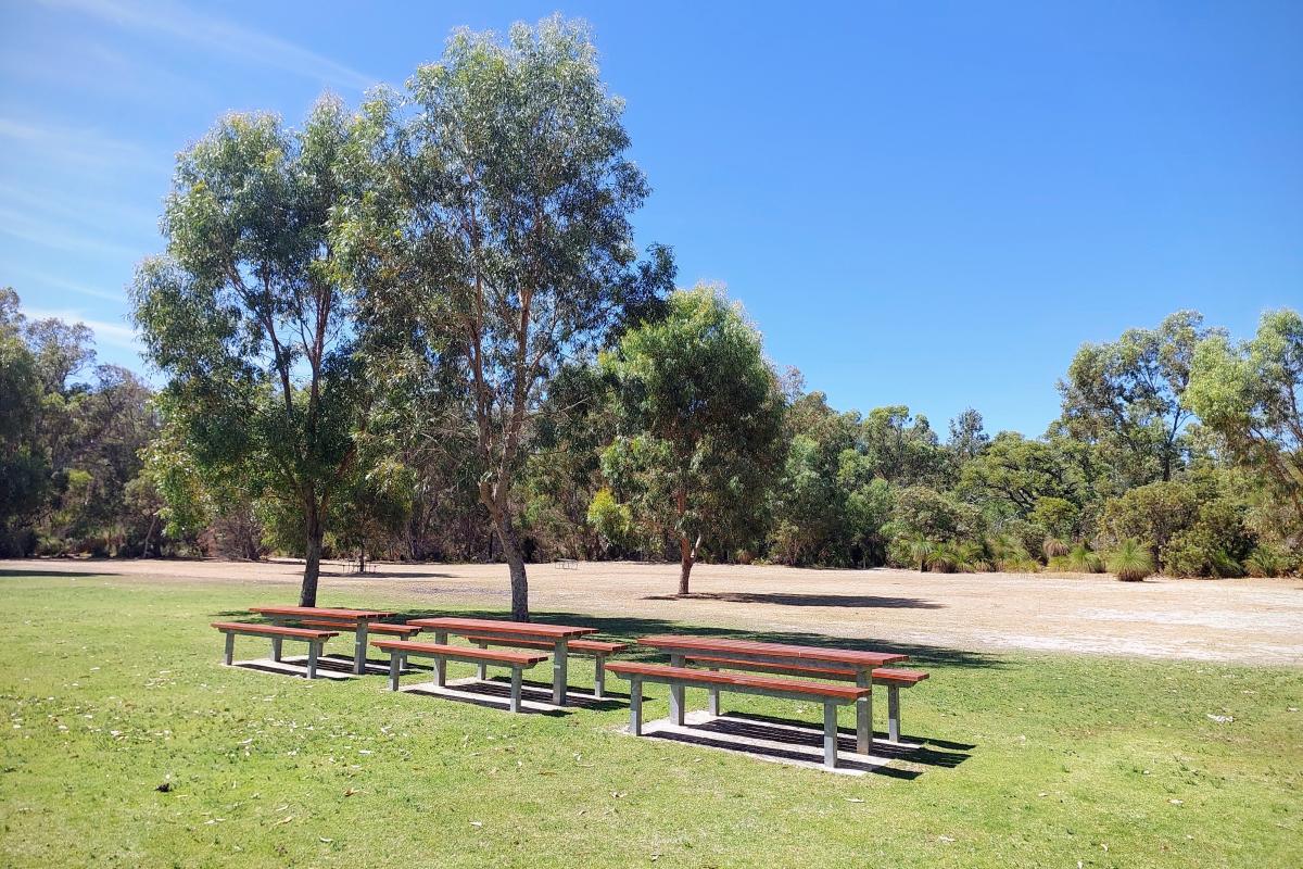 Picnic benches in the open grassed area at Henry White Campground Picnic benches in the open grassed area at Henry White Campground