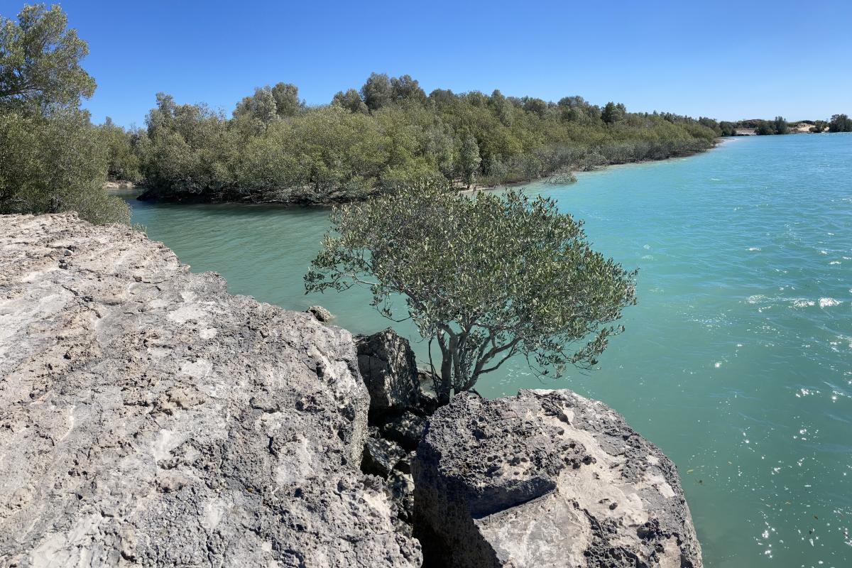 wirrijinmirr-willie-creek-yawuru-marine-and-conservation-parks-dbca.jpg