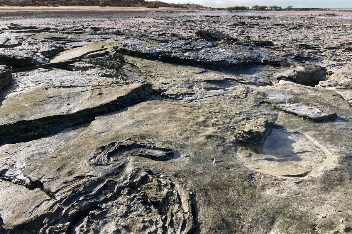 Yawuru Marine and Conservation Parks Rock formations