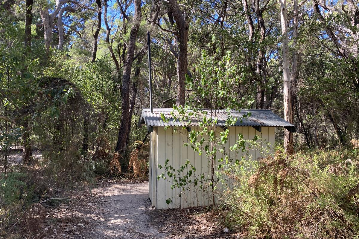 Small structure surrounded by bush. 