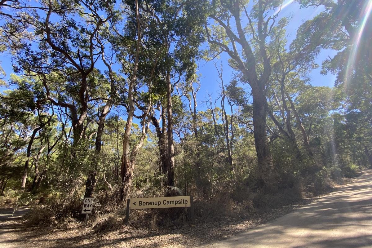 Boranup Campground Sign with words Boranup Campground