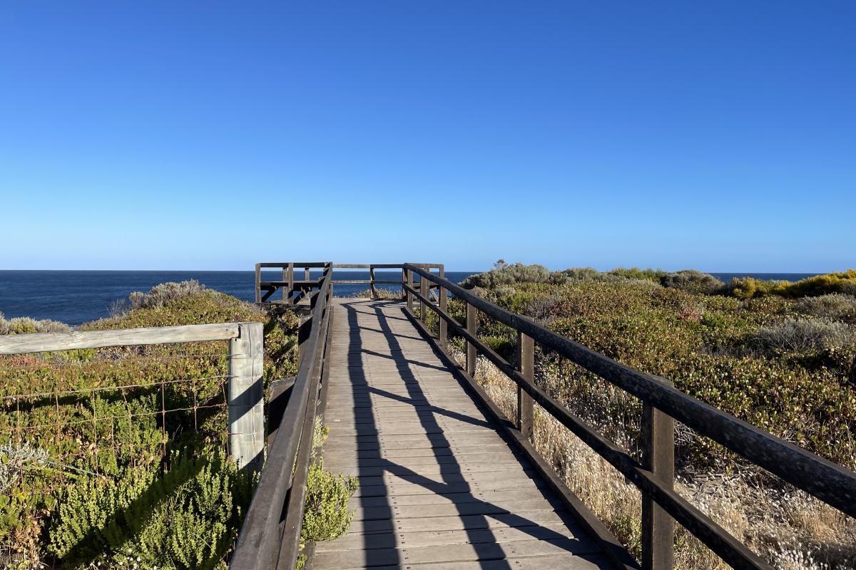 Wooden boardwalk to viewing deck overlooking the ocean.