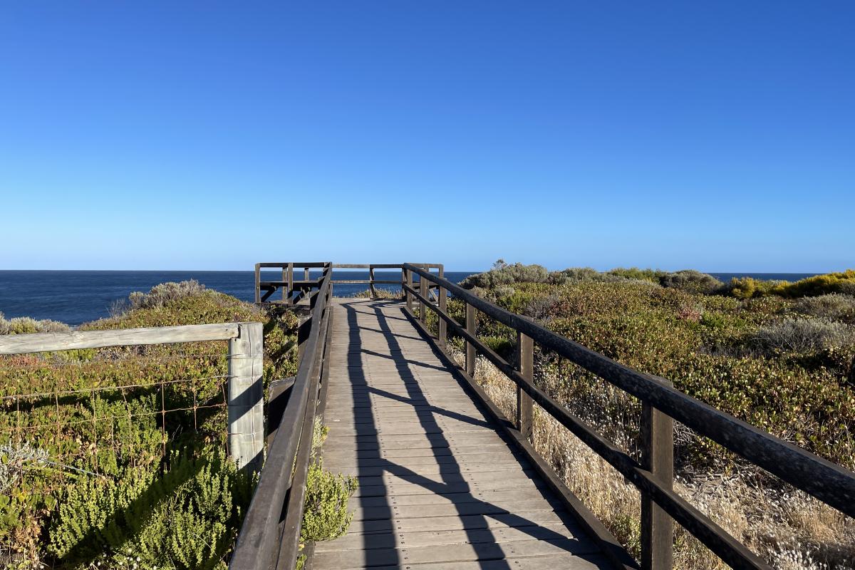 Ellensbrook Beach Wooden boardwalk to viewing deck overlooking the ocean.