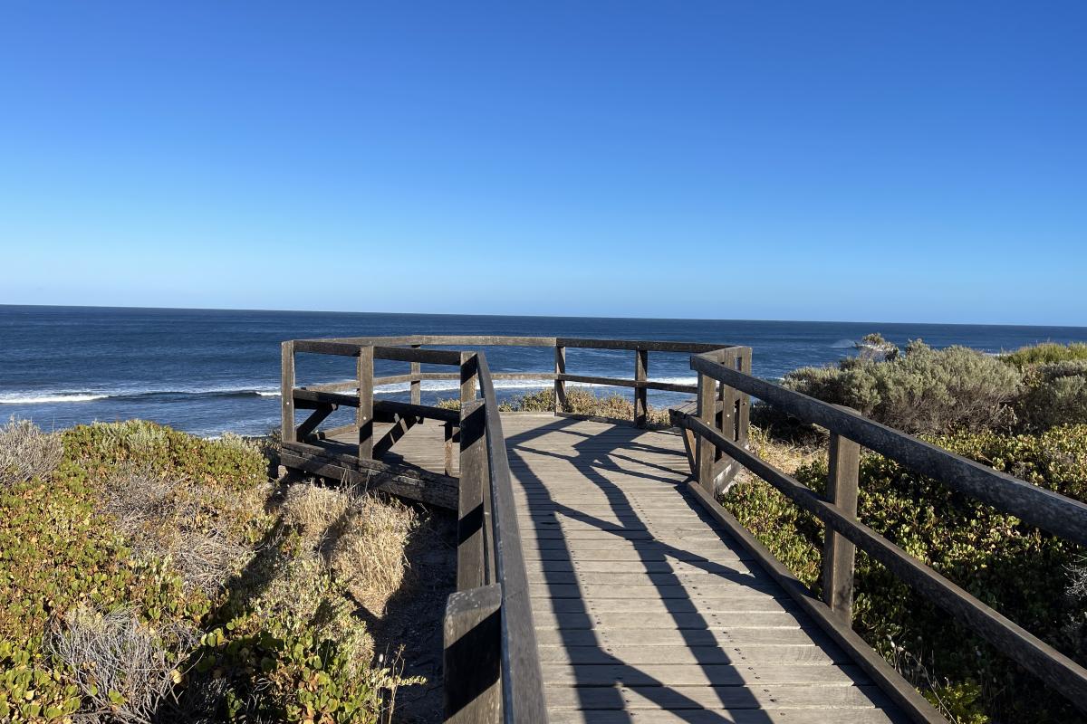 Wooden boardwalk to viewing deck overlooking the ocean. 