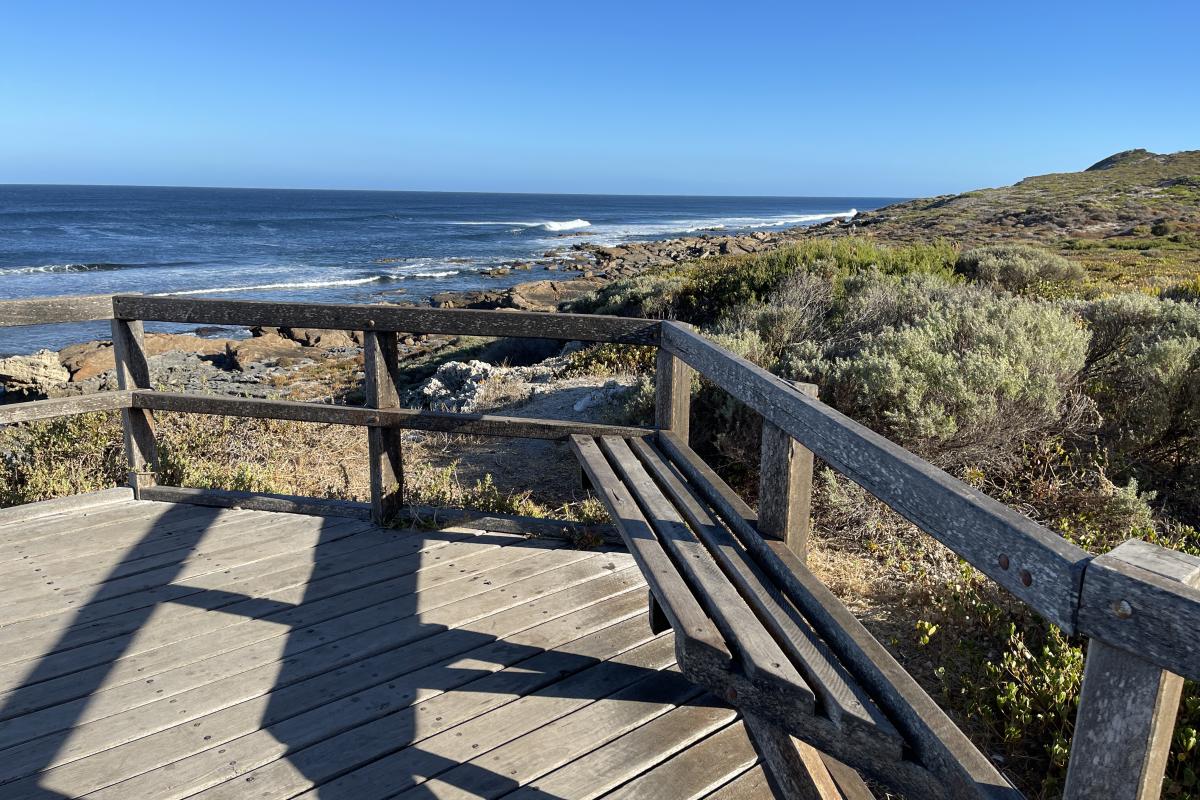 Wooden boardwalk to viewing deck overlooking the ocean with bench seats.