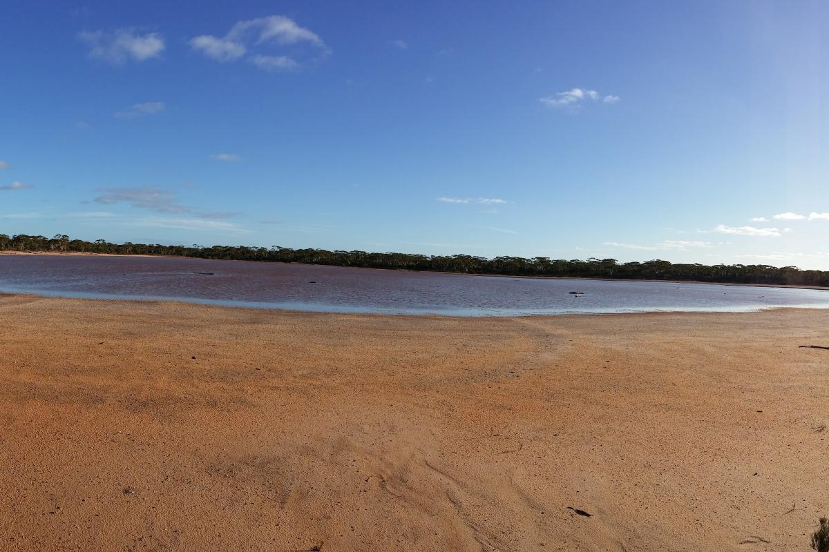 Jaurdi Station Homestead Lake surrounded by bushland.
