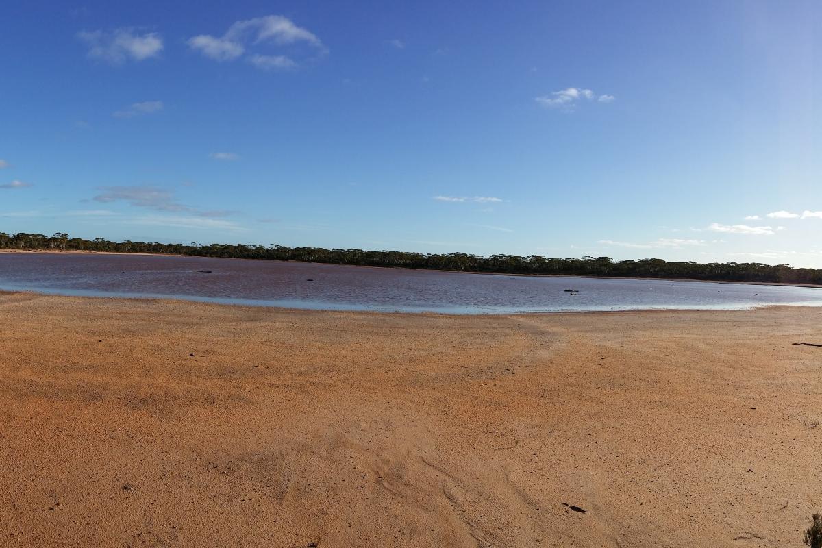 Lake surrounded by bushland.