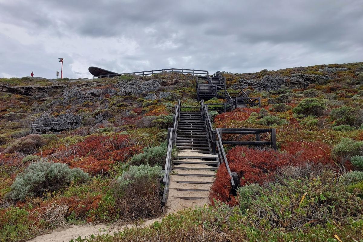 Beach access staircase at Lefthanders