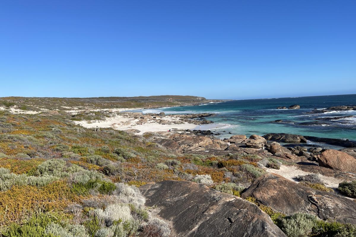 Granite rocks, green shrubs leading down to beach. 