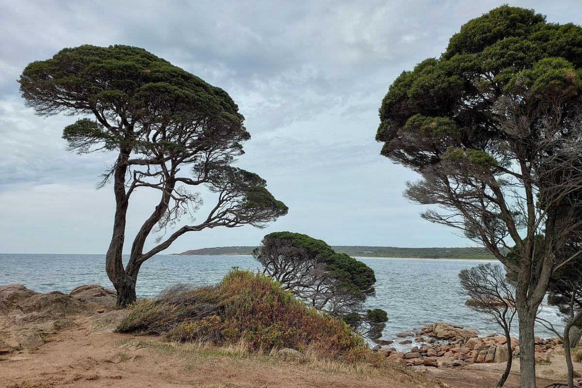 View across Bunker Bay from Shelley Cove