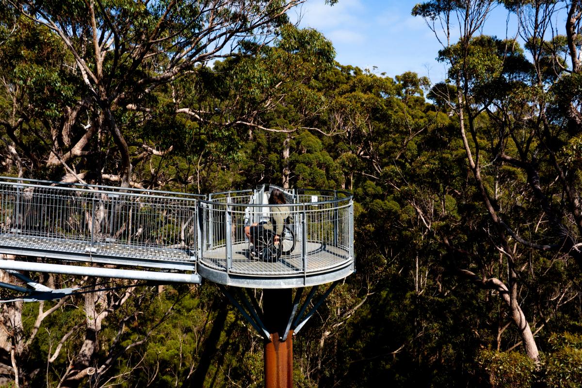 Tree Top Walk Person in wheelchair on a metal platform in the tops of the trees.