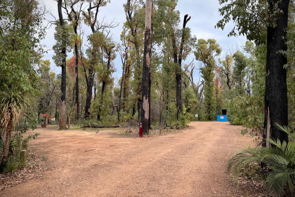 Canebrake Pool Campground Canebrake Pool Campground