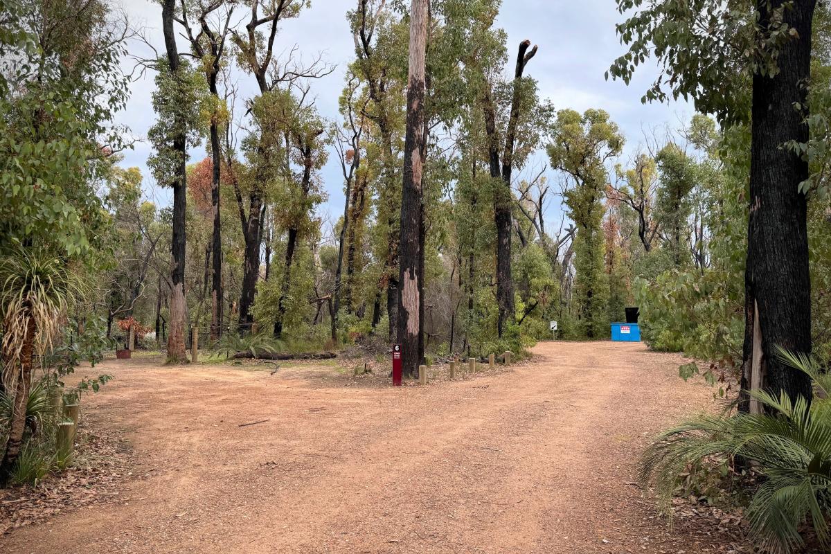 Canebrake Pool Campground