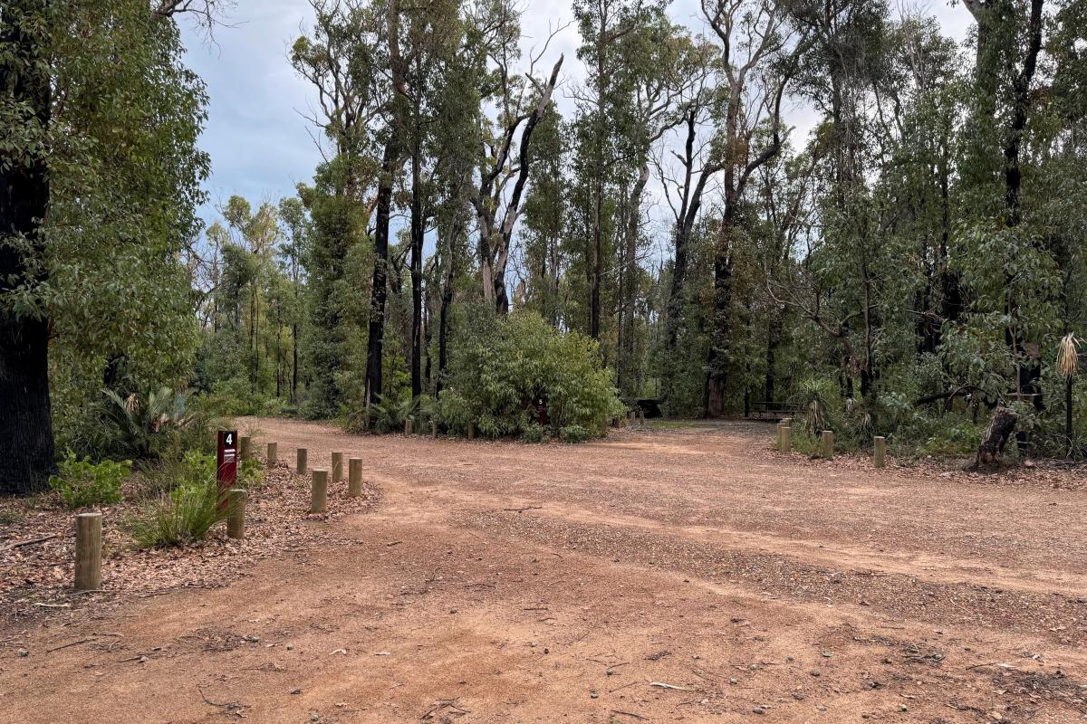 Canebrake Pool Campground Canebrake Pool Campground