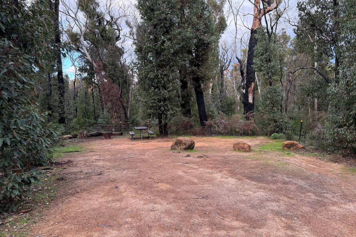 Canebrake Pool Campground Canebrake Pool Campground