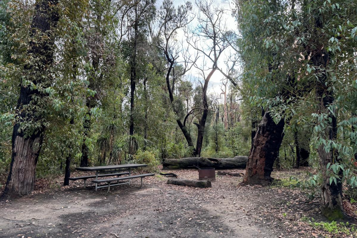 Canebrake Pool Campground