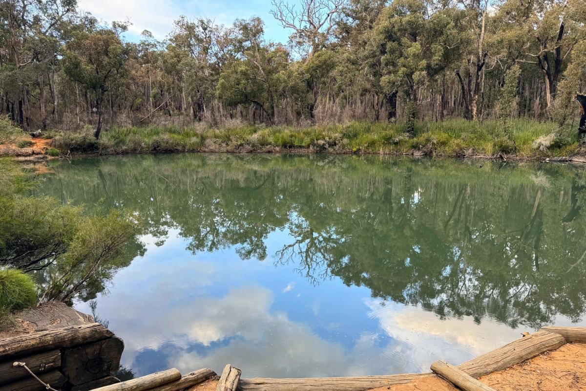 Canebrake Pool