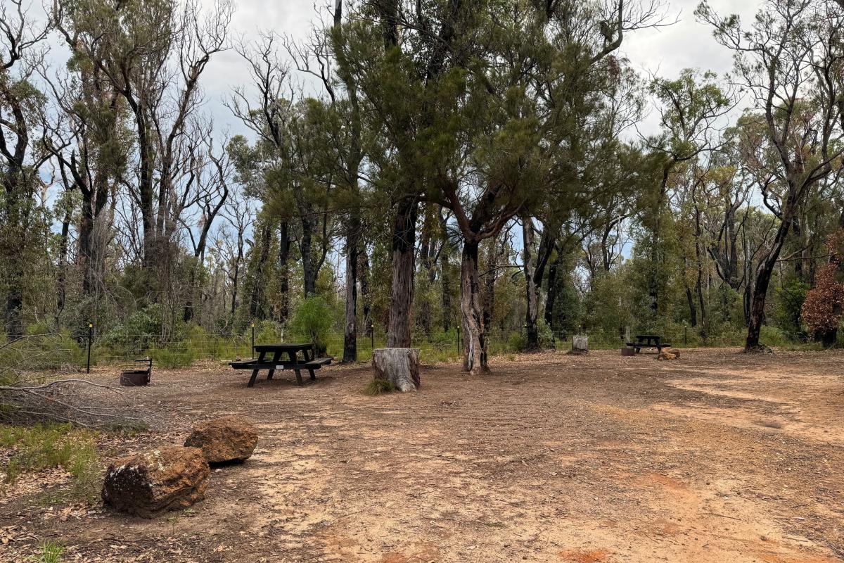 Canebrake Pool picnic area