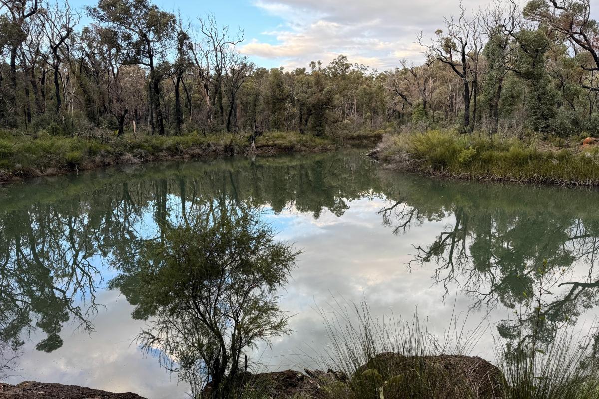 Canebrake Pool