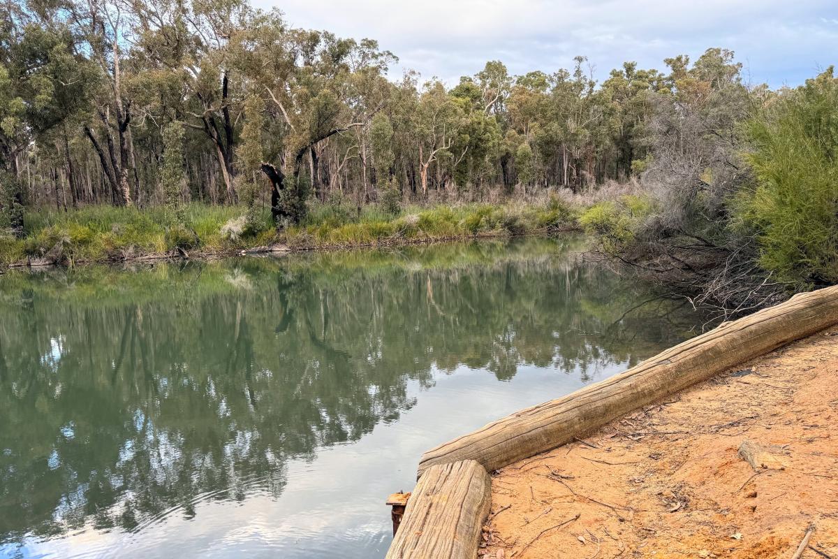 Canebrake Pool