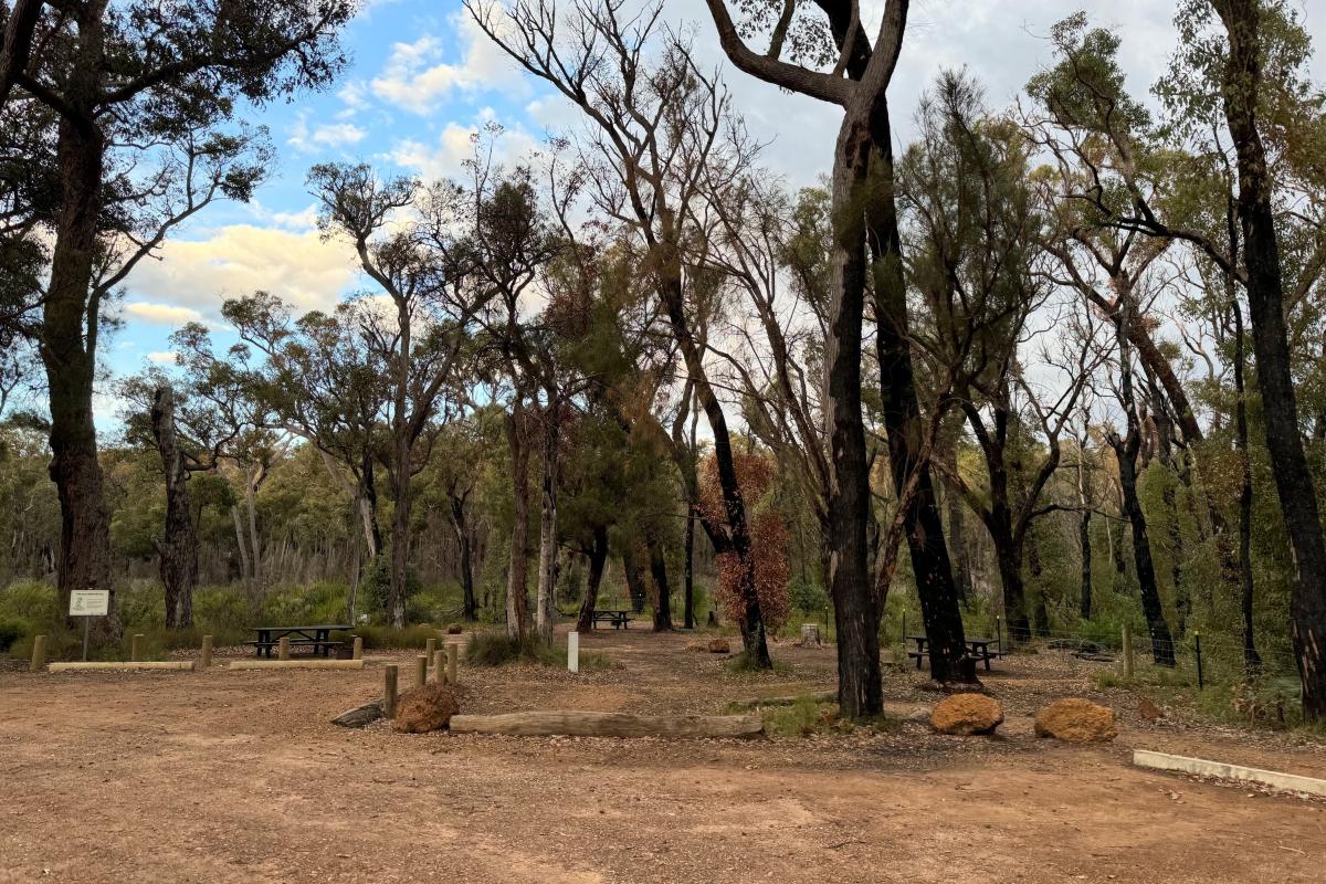 Gravel parking area and picnic benches at Canebrake Pool