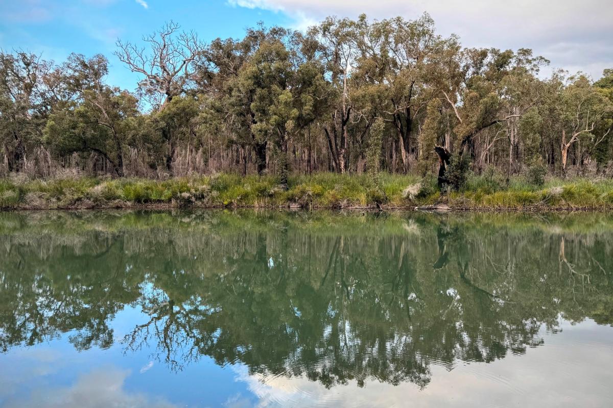 Canebrake Pool