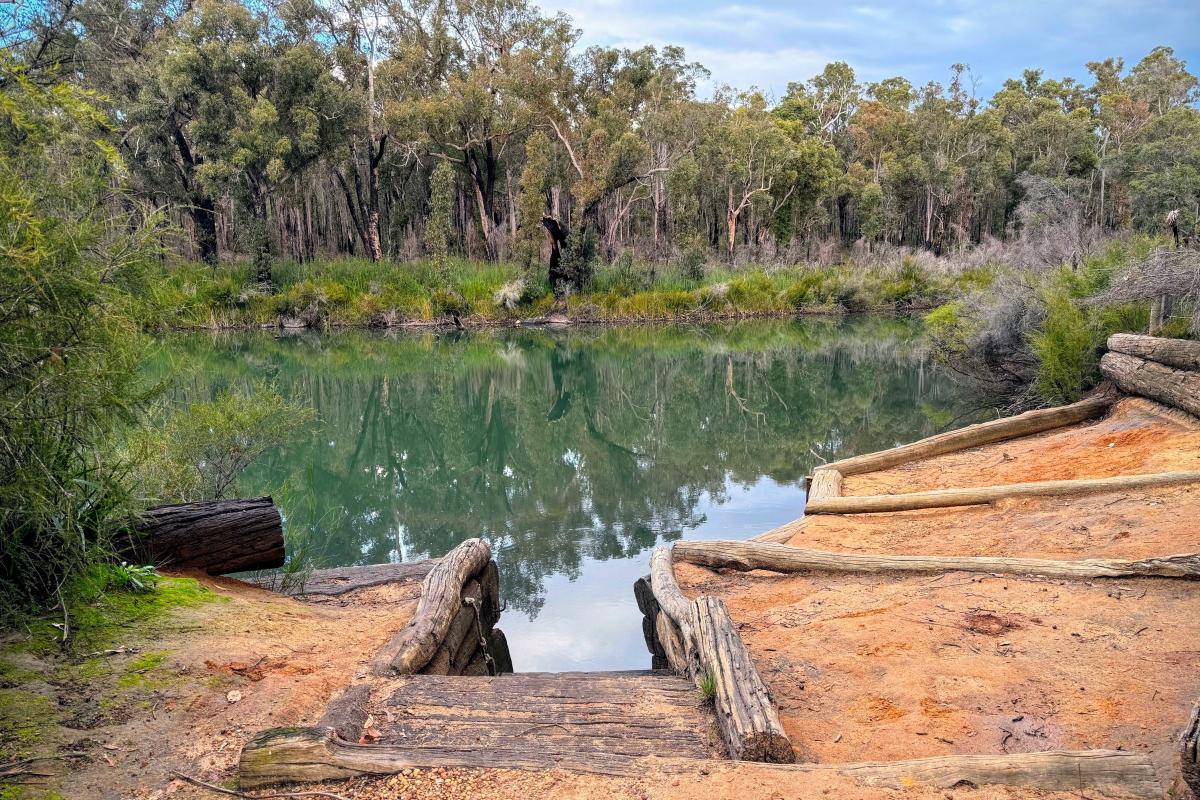 Canebrake Pool