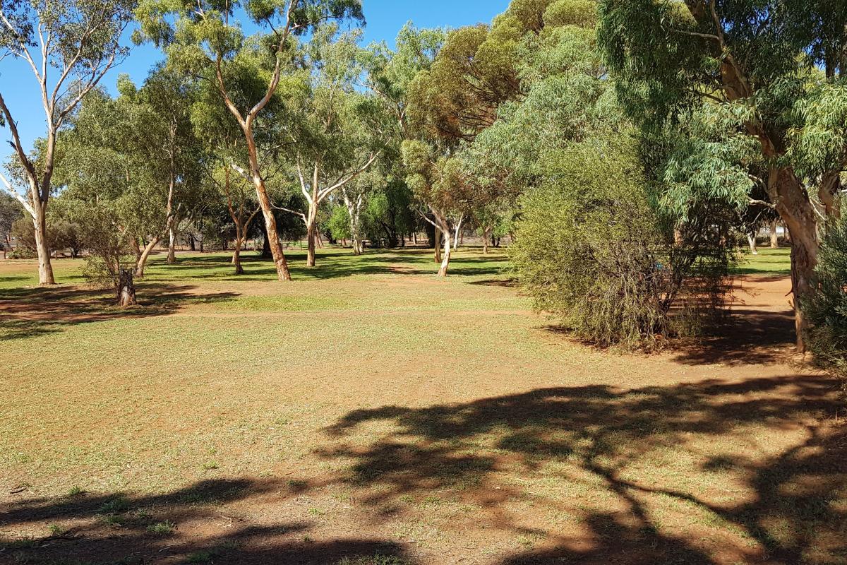 Grassed area surrounded by trees.