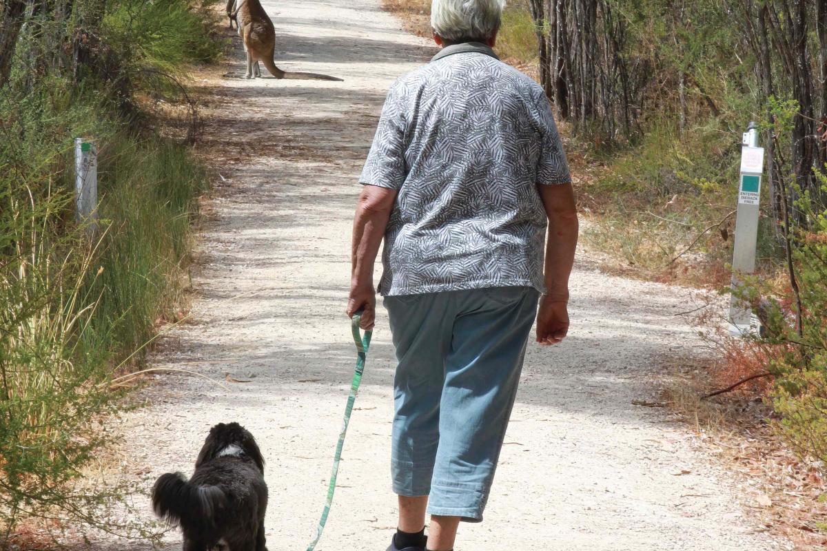 Person walking ona. path next to a dog on a leash. There is a kangaroo further up the path. 