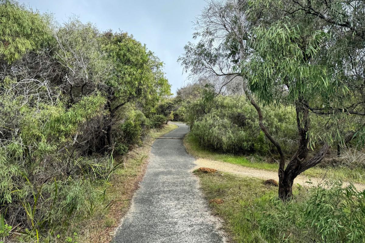 Path to Salmon Holes lookout and beach Path to Salmon Holes lookout and beach