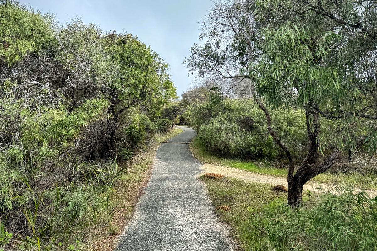 Path to Salmon Holes lookout and beach