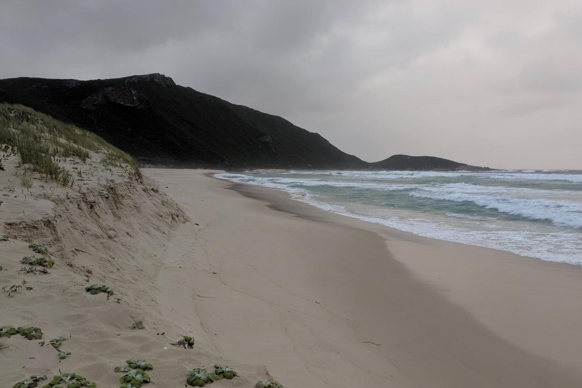 Conspicuous Beach Conspicuous Beach