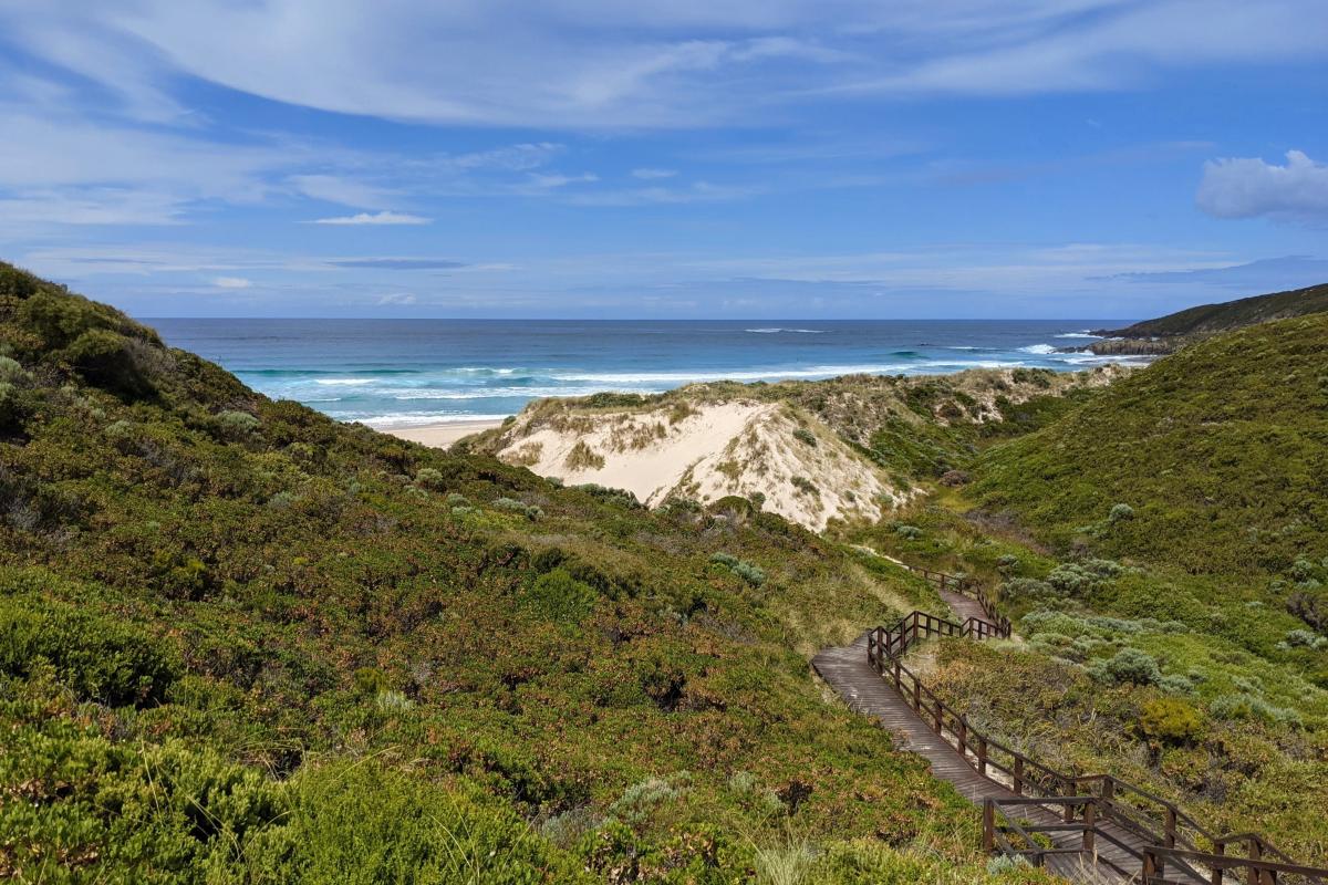 Boardwalk and steps down to the beach from the parking area at Conspicuous Beach